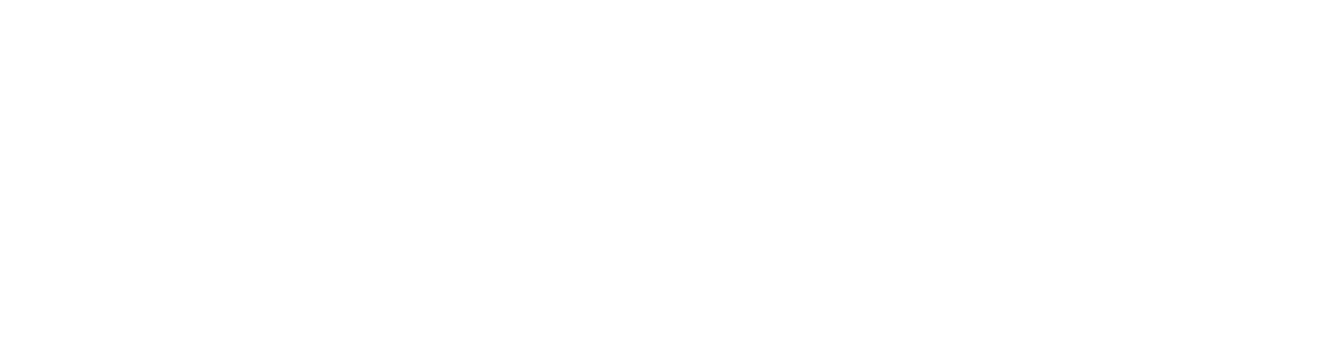 Dataplace Logo